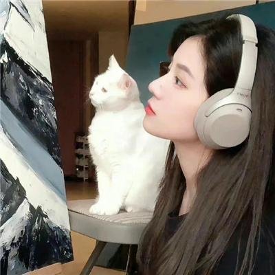 我，天命毒士，谋定天下